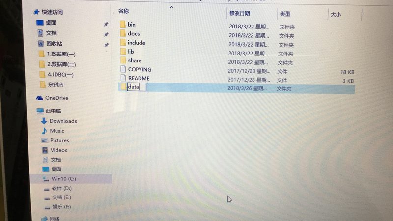 宠物长途搬家应激反应怎么避免